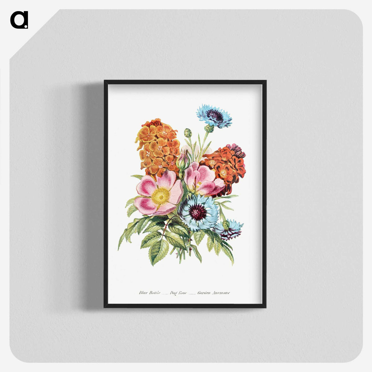 1-1_The-Language-of-Flowers_blk-crop