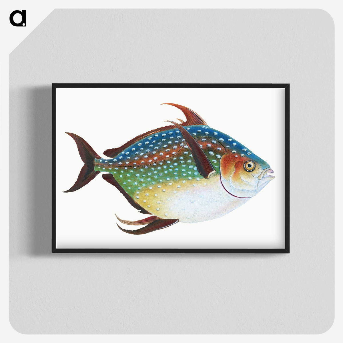 1-1_The-Natural-History-of-British-Fishes_blk-crop