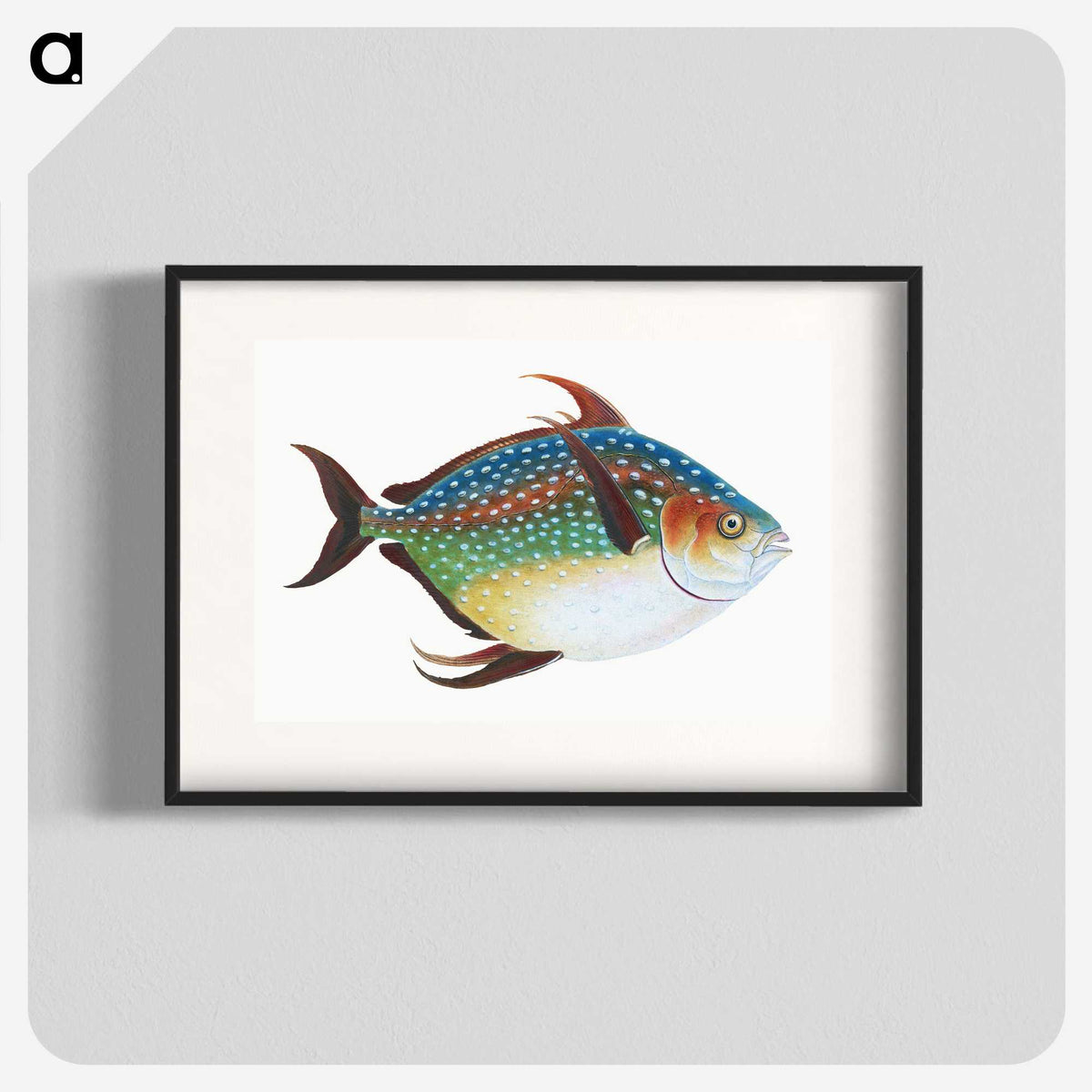 1-1_The-Natural-History-of-British-Fishes_blk