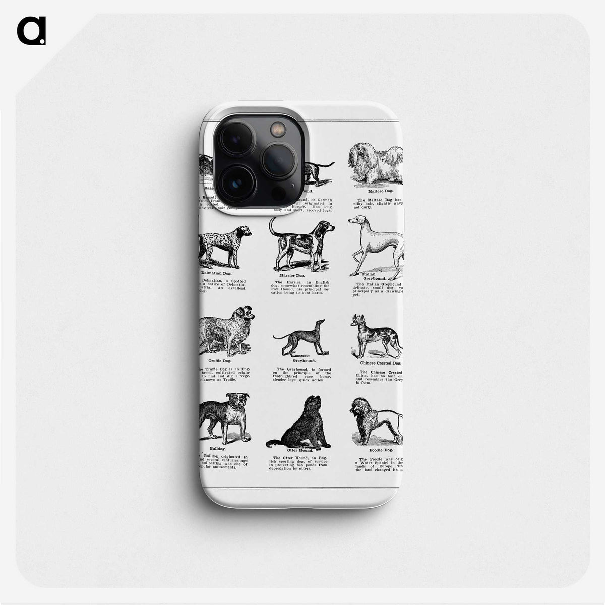 1-1_The-Open-Door-to-Independence_phone