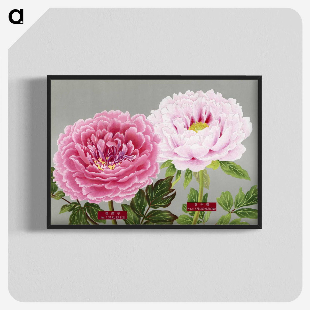 1-1_The-Picture-Book-of-Peonies_blk-crop