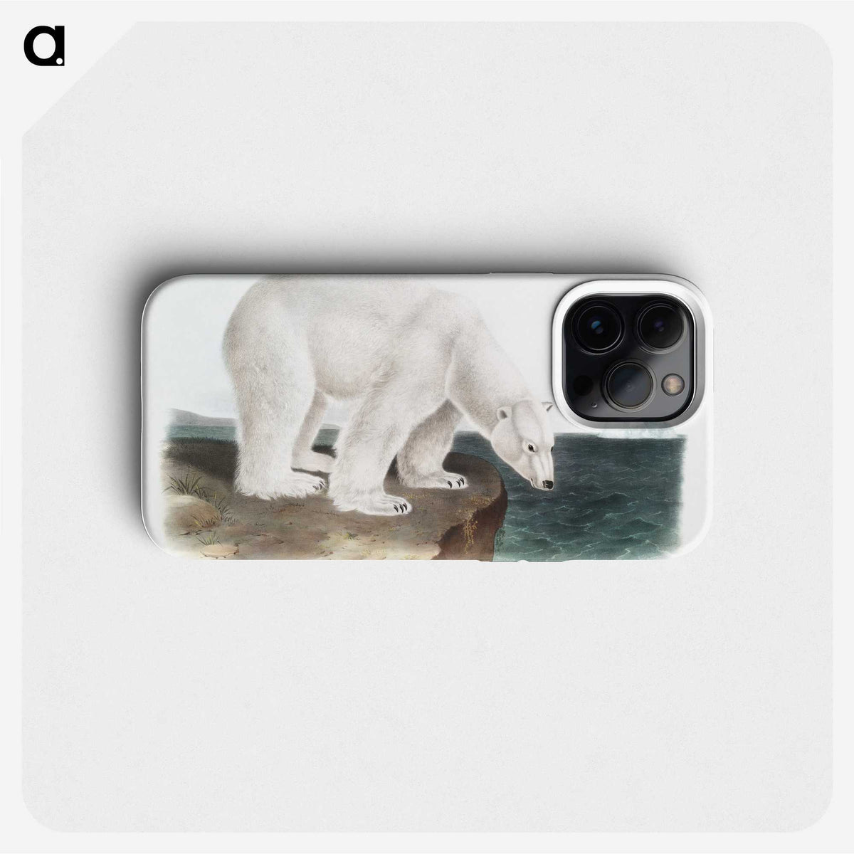 1-1_The-Viviparous-Quadrupeds_phone