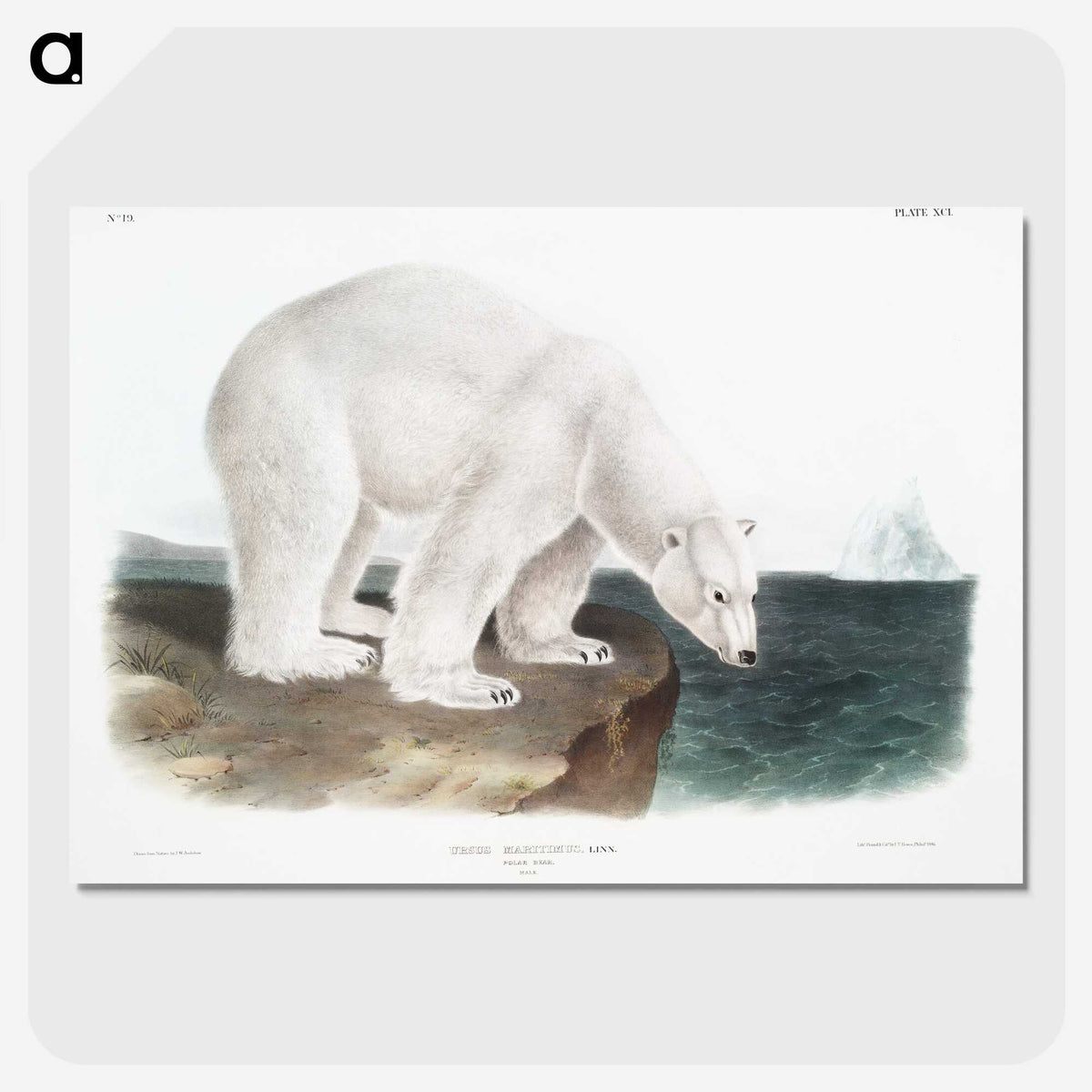 1-1_The-Viviparous-Quadrupeds_picture-crop