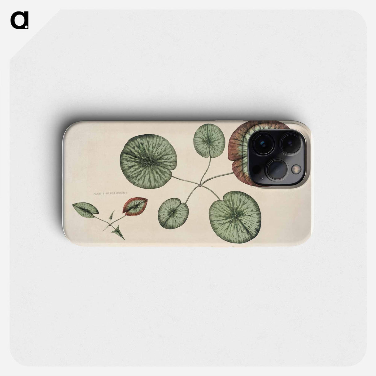 The Victoria Regia; or the Great Water Lily of America - ビクトリア レジア Phone Case.