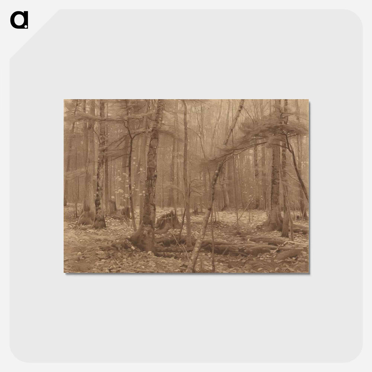 Engraving of Silence (1883) by William Bliss Baker. - ウィリアム ブリス ベイカー Postcard.