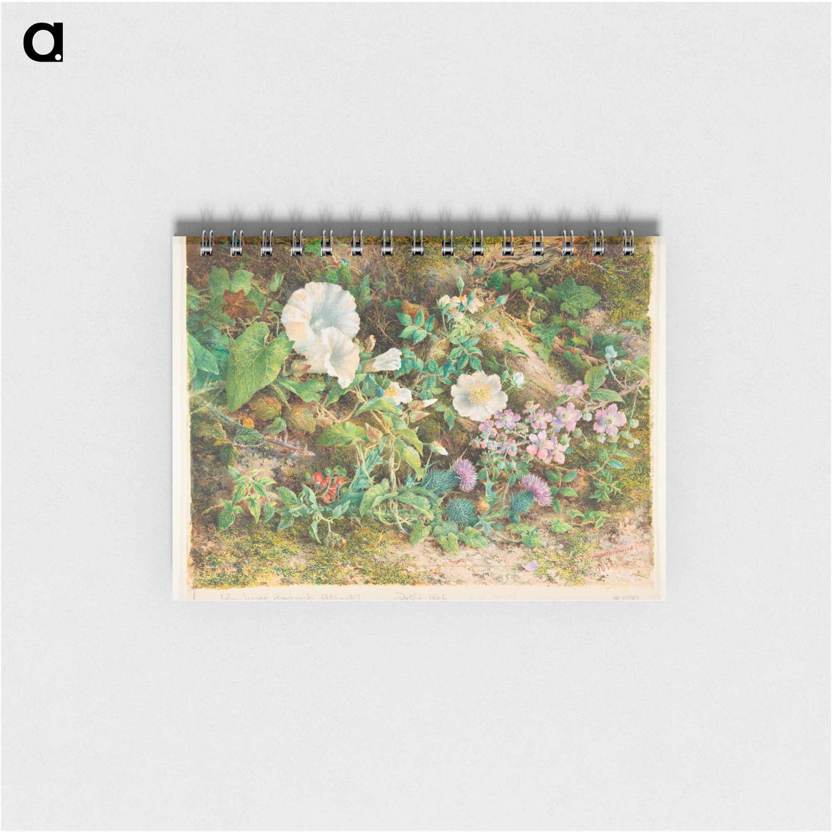 アートメモ帳-Flower Study - ウィリアム ヘンリー ハント Memo.