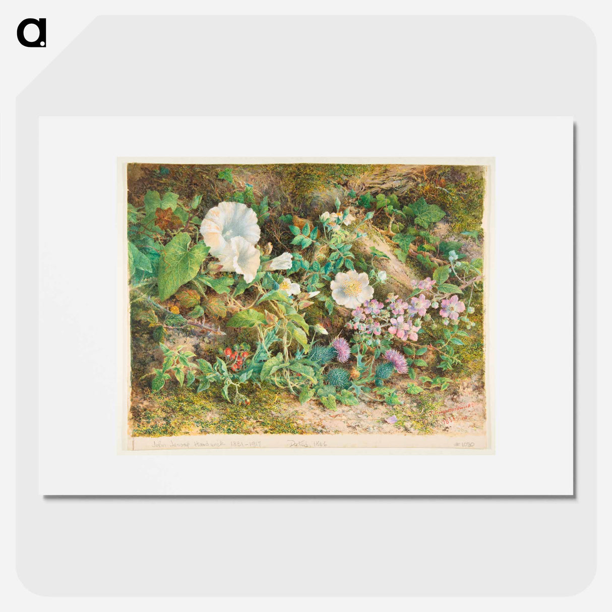 Flower Study - ウィリアム ヘンリー ハント Poster.