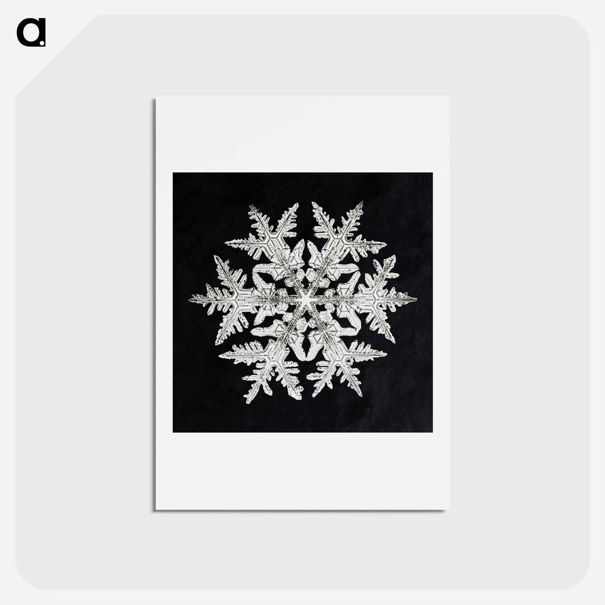 アートポストカード-Wilson Bentley's Snowflake 920 - ウィルソン ベントレー Postcard.