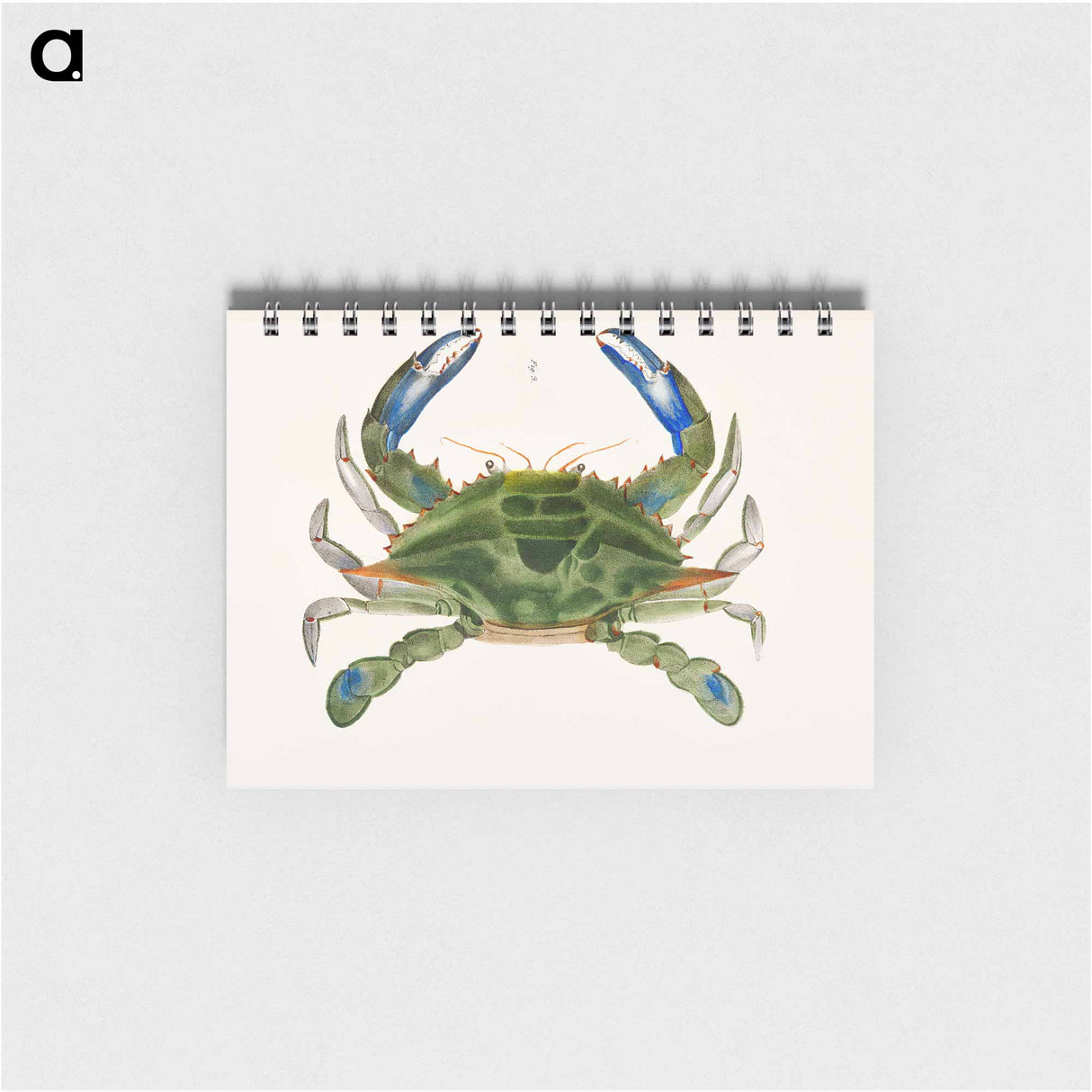 アートメモ帳-Blue crab (Lupa decanta) illustration from Zoology of New York by James Ellsworth De Kay - ニューヨークの動物学 Memo.