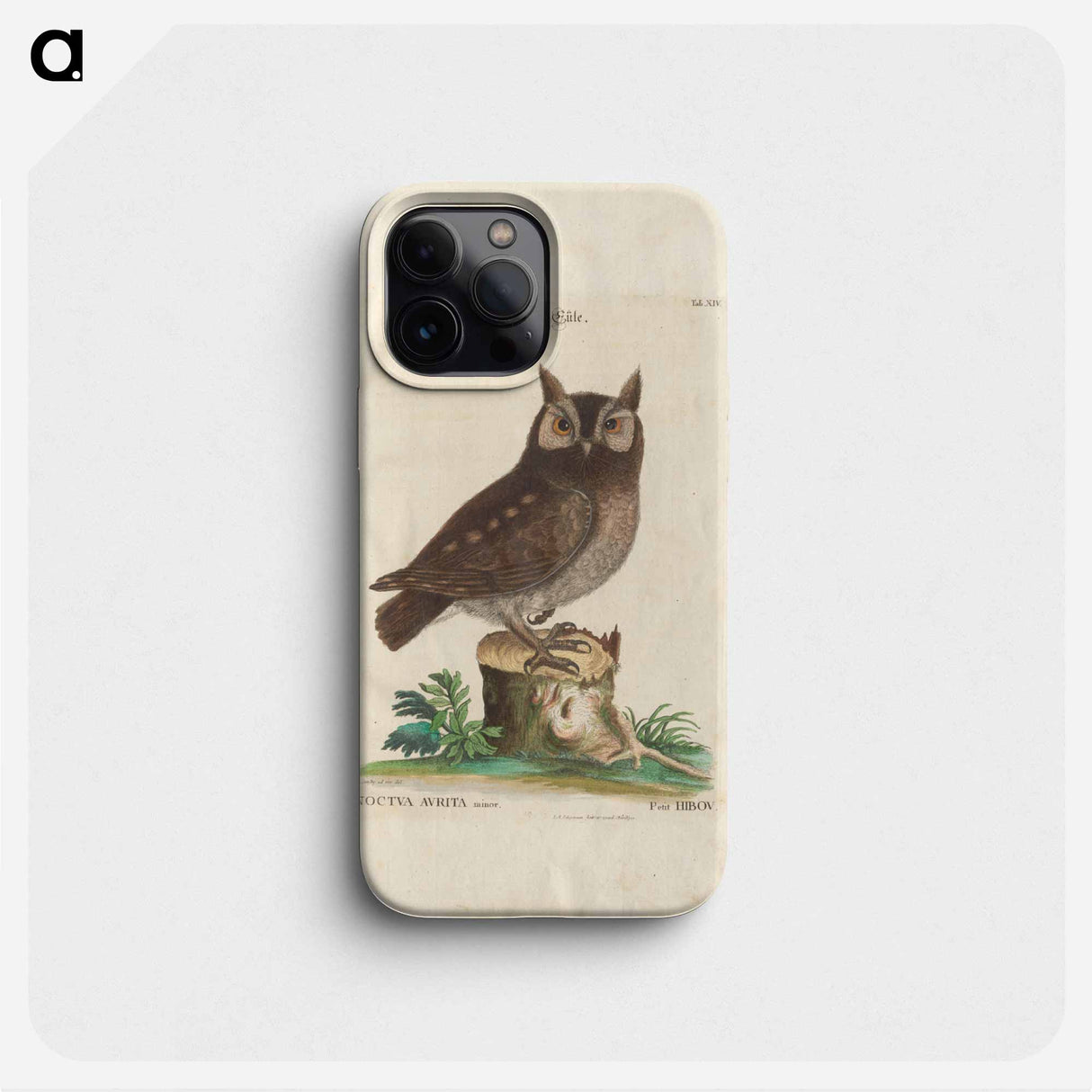 Little owl - イー ララ Phone Case.