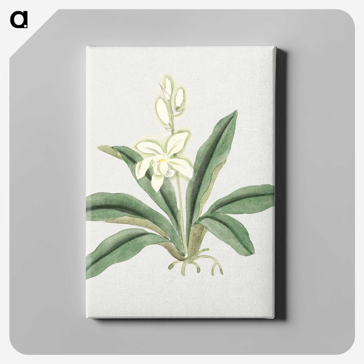 1-20_19th-Century-Japanese-Flowers_canvas