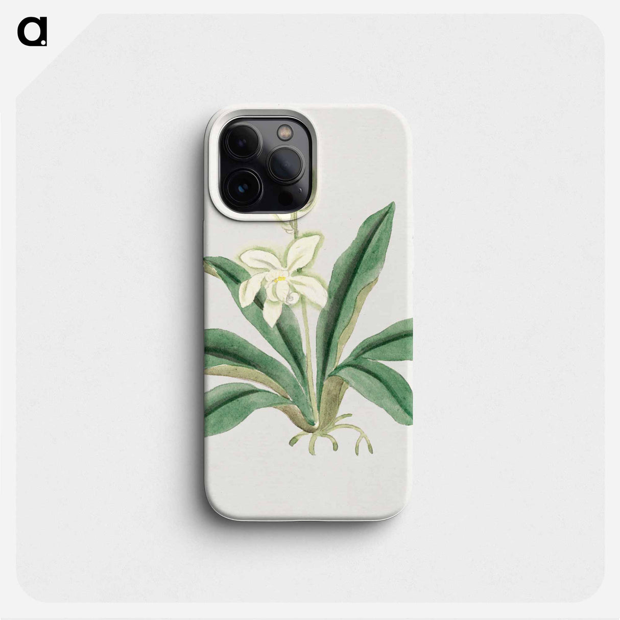 Orchids - 19世紀の日本の花 Phone Case.