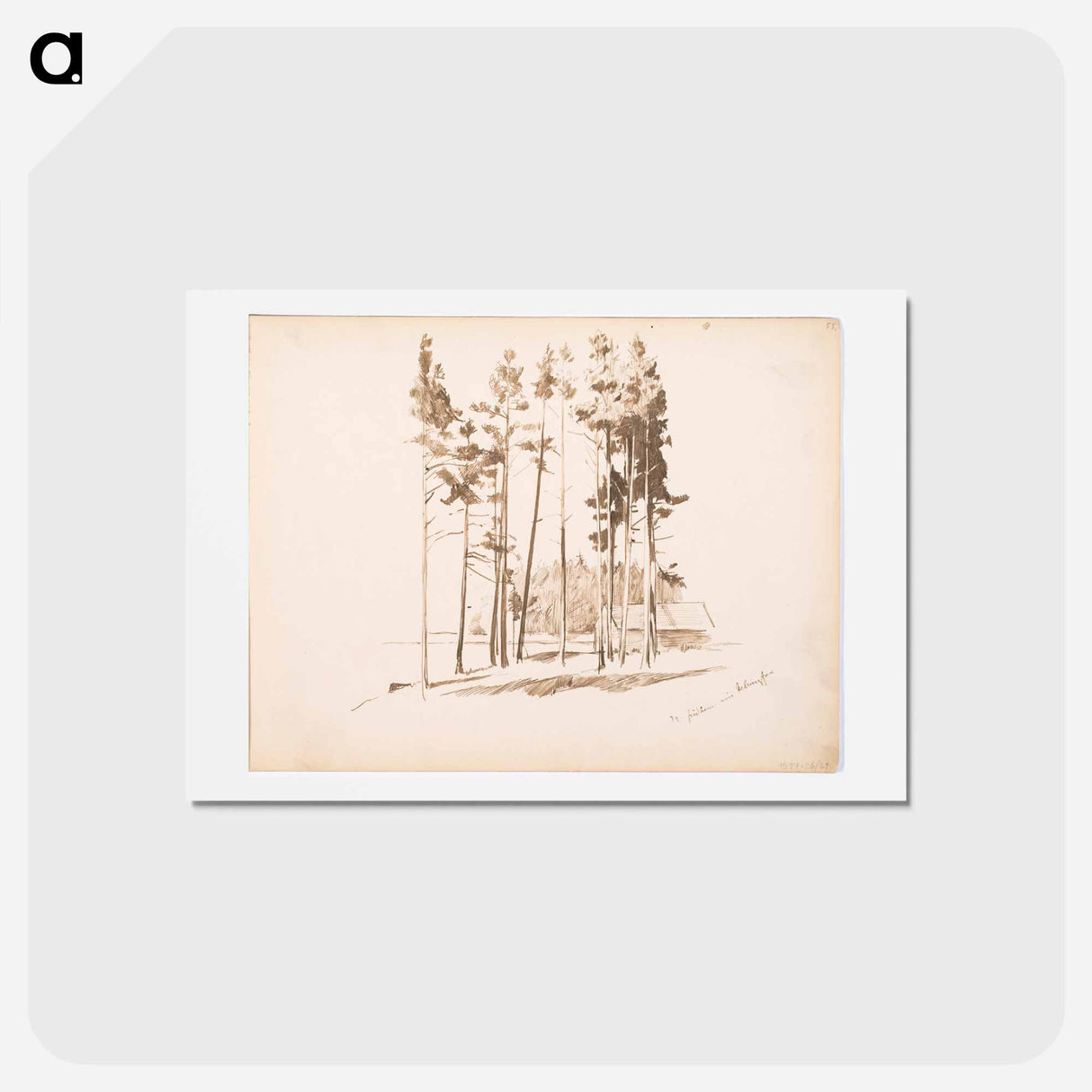 (unknown) - アルバート エーデルフェルト Postcard.