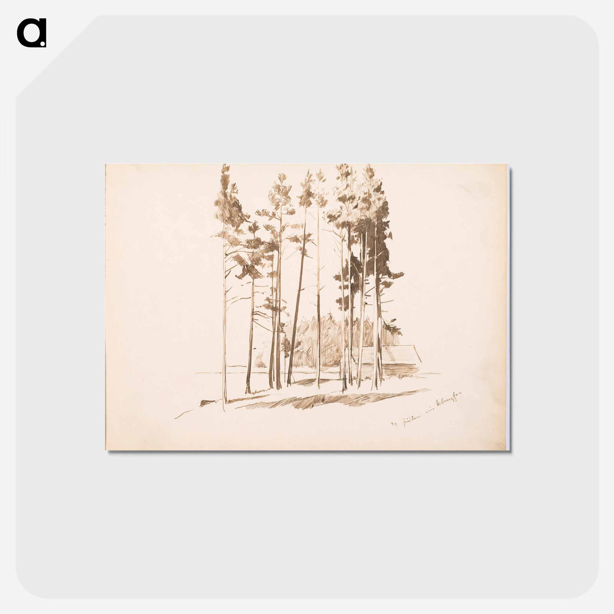 (unknown) - アルバート エーデルフェルト Postcard.