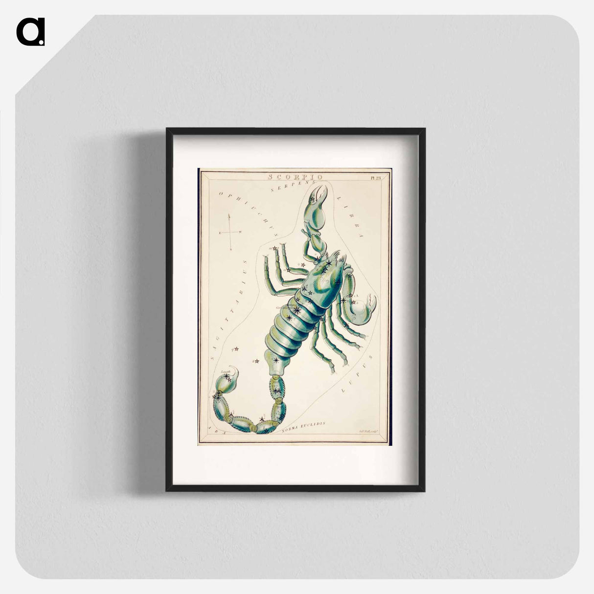 Scorpio - アンティーク地図 Poster.