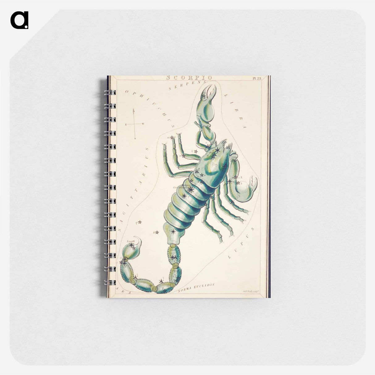 Scorpio - アンティーク地図 Memo.