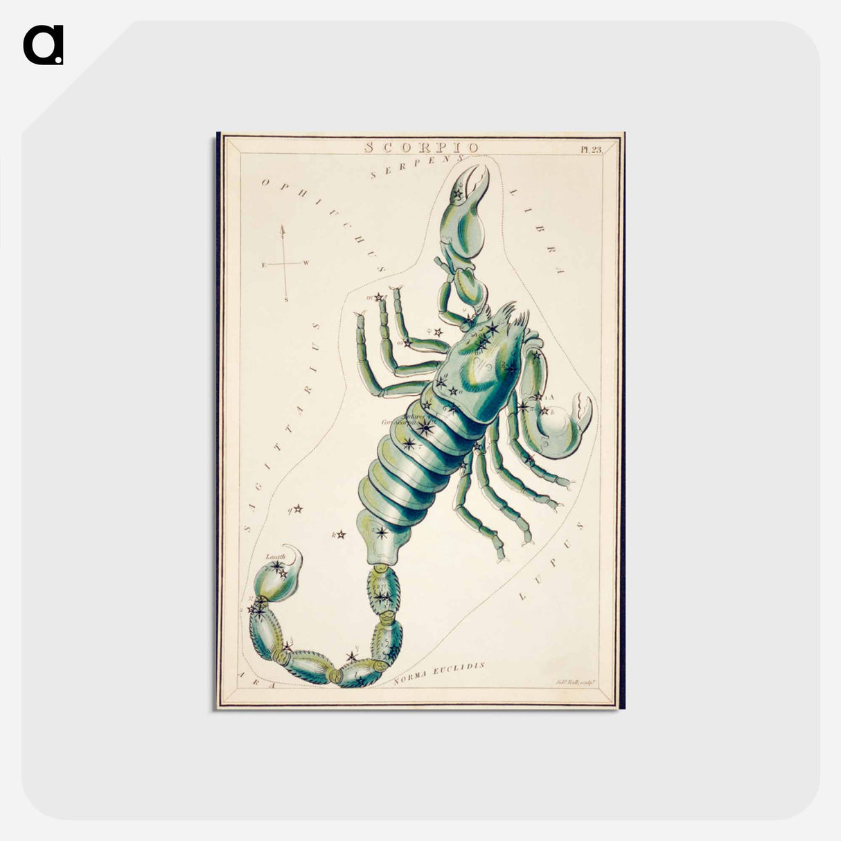 アートポストカード-Scorpio - アンティーク地図 Postcard.