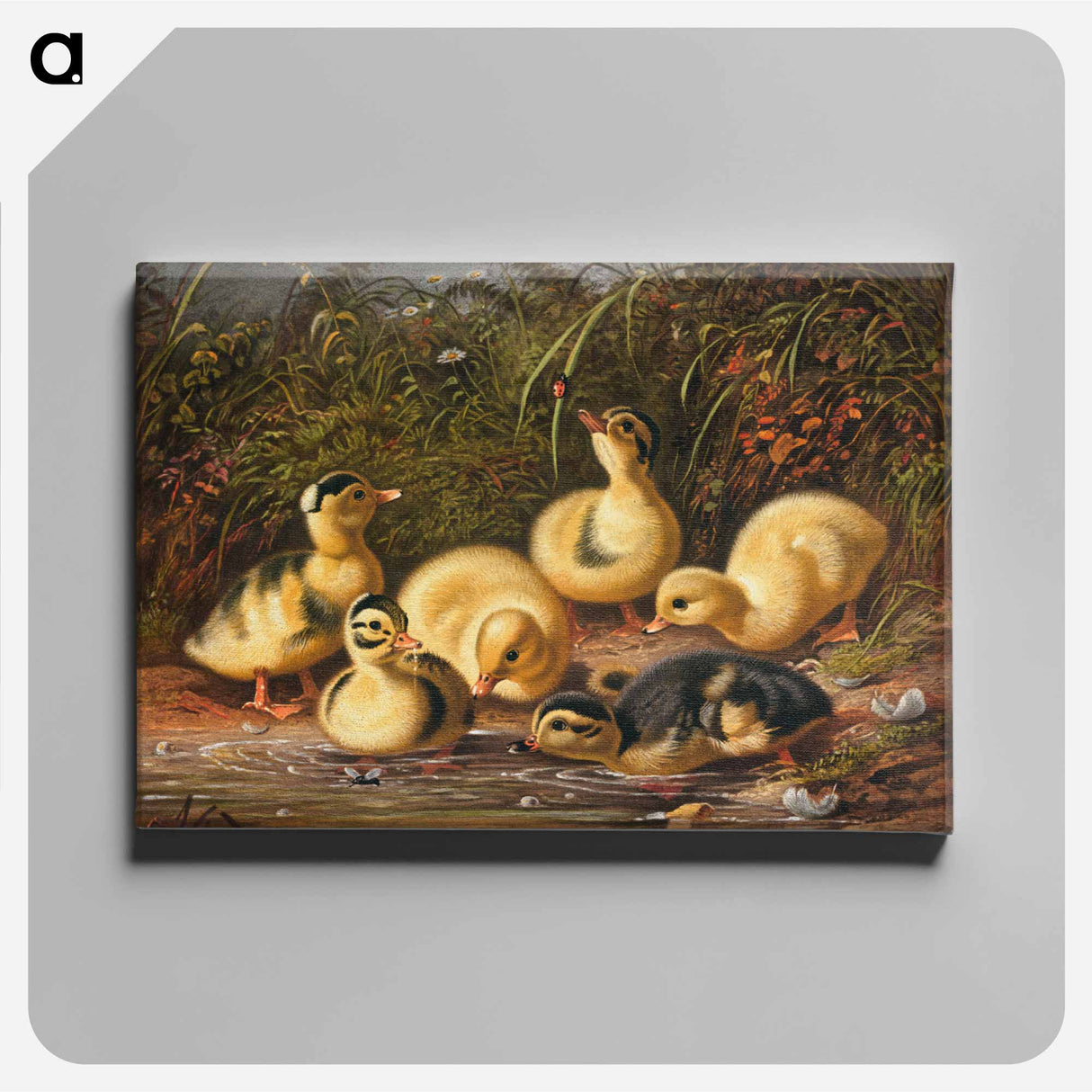 Group of ducklings - アーサー フィッツウィリアム テイト Canvas.