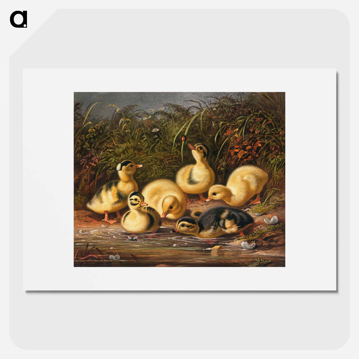 Group of ducklings - アーサー フィッツウィリアム テイト Poster.