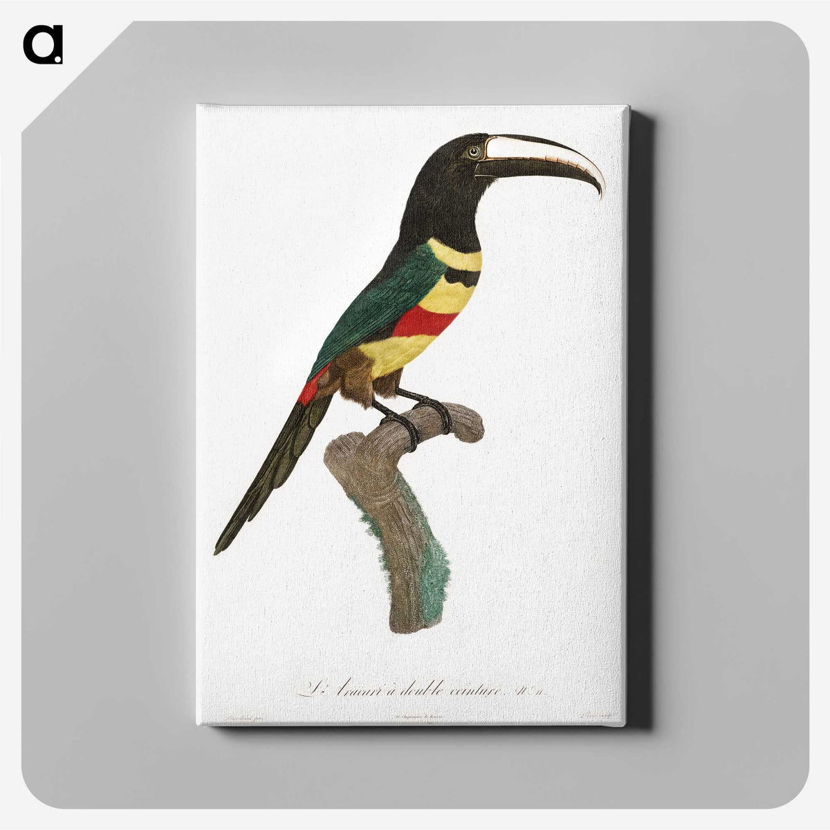 1-20_Des-Oiseaux-de-Paradis_canvas