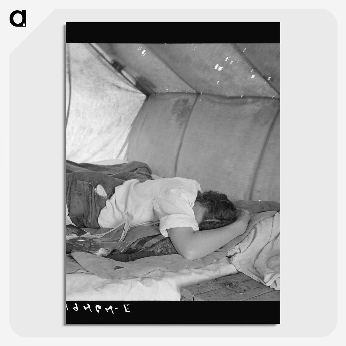 1-20_Dorothea-Lange_picture-crop