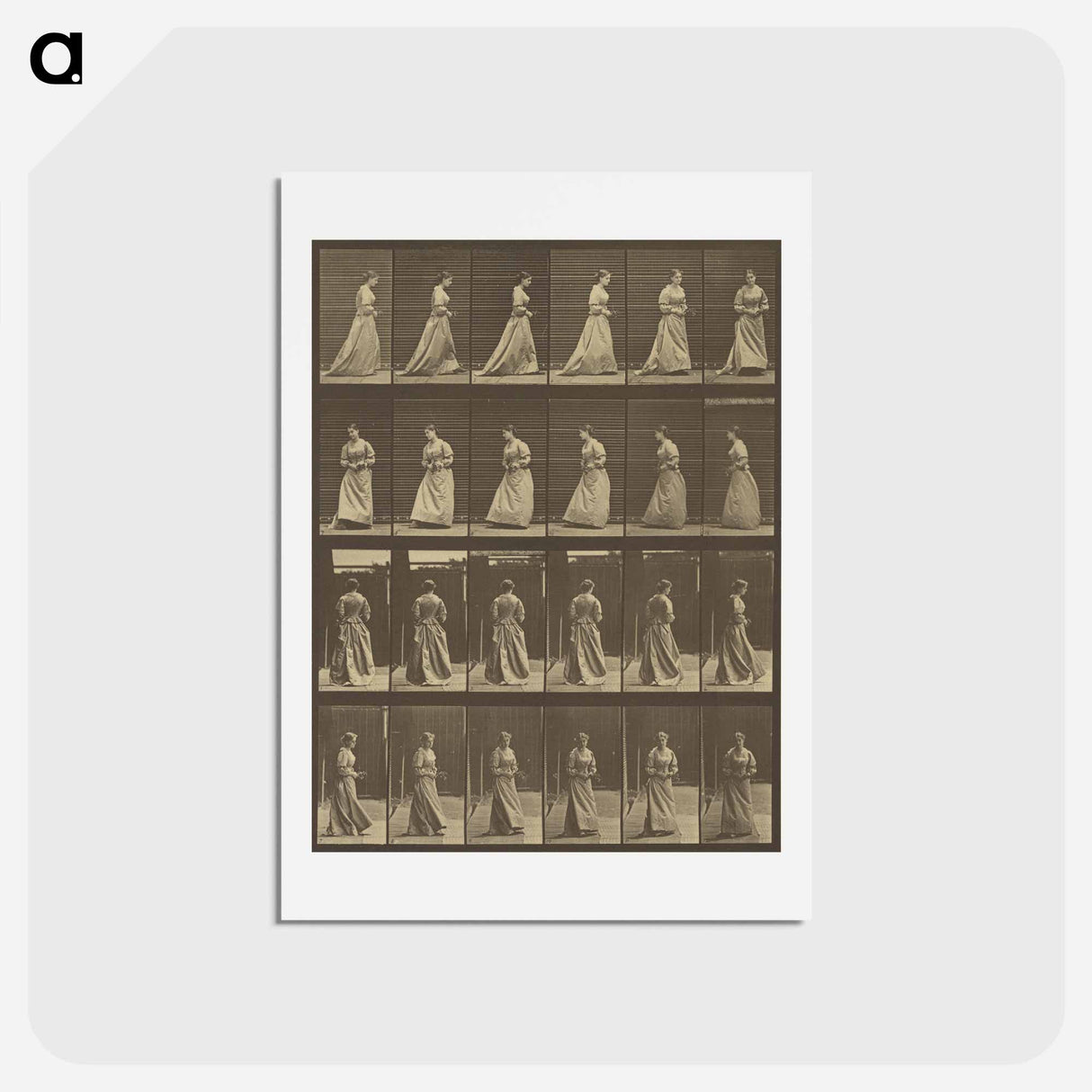 アートポストカード-Animal Locomotion
- エドワード マイブリッジ Postcard.