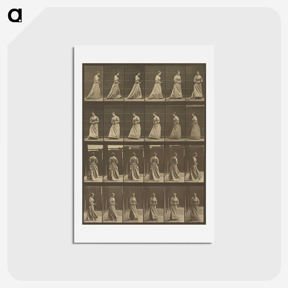 1-20_Eadweard-Muybridge_hagaki