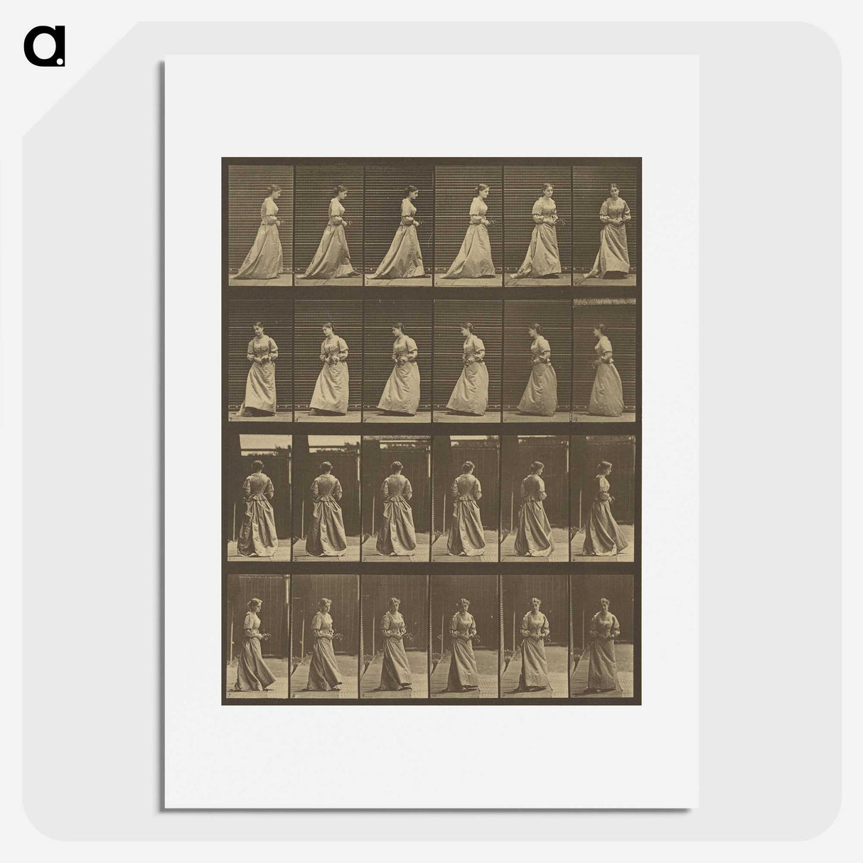 1-20_Eadweard-Muybridge_picture