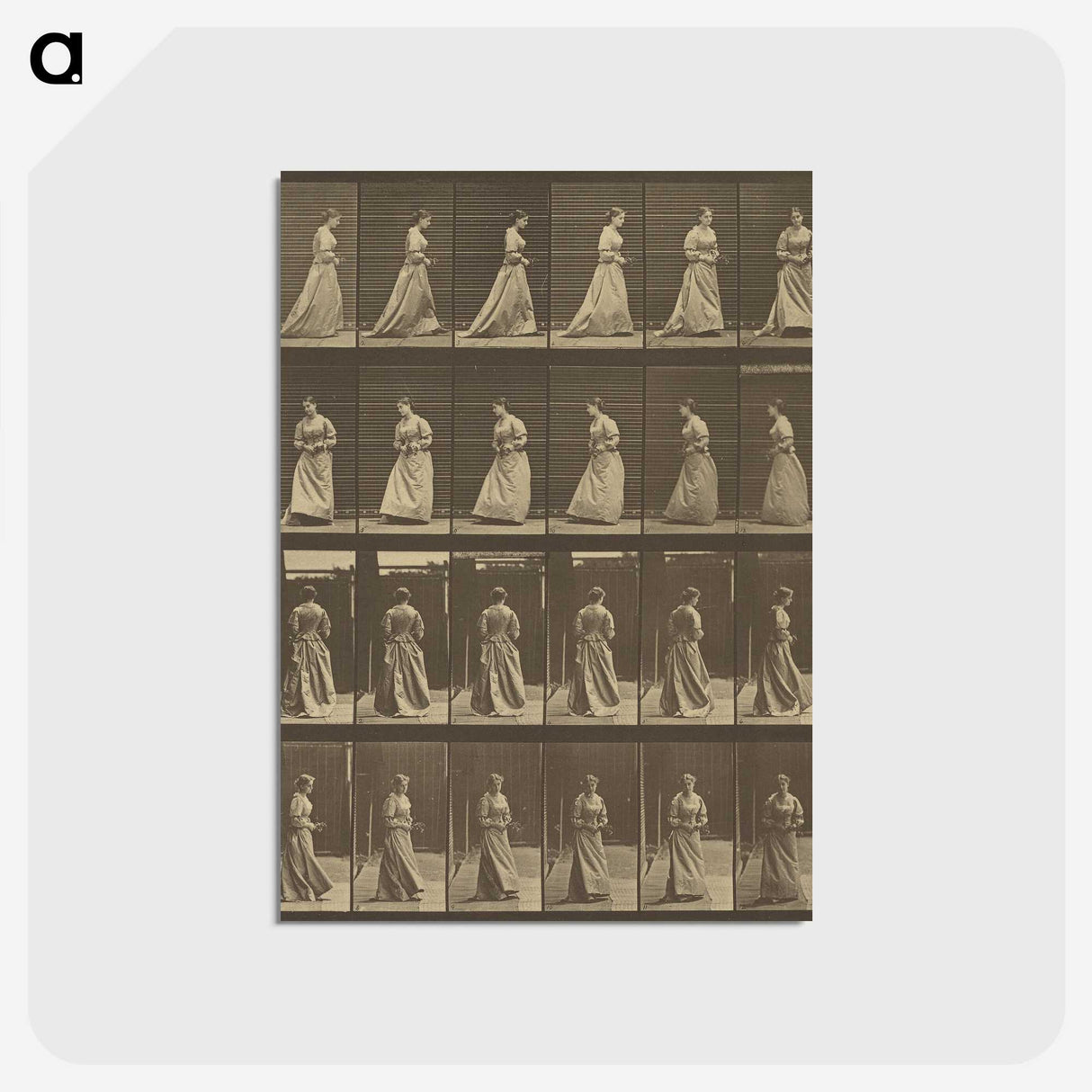1-20_Eadweard-Muybridge_postcard