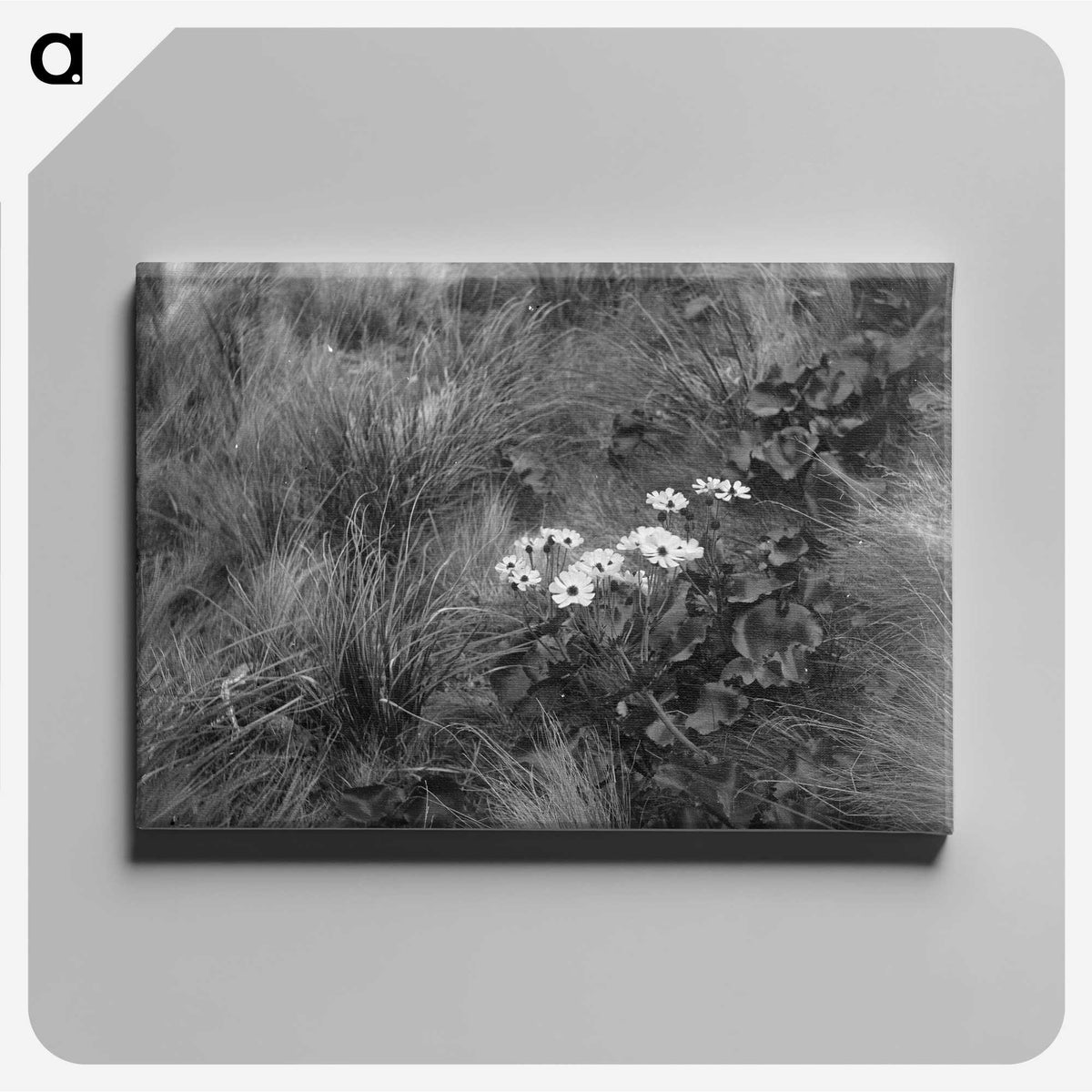 1-20_Frederick-Charles-Brockett_canvas