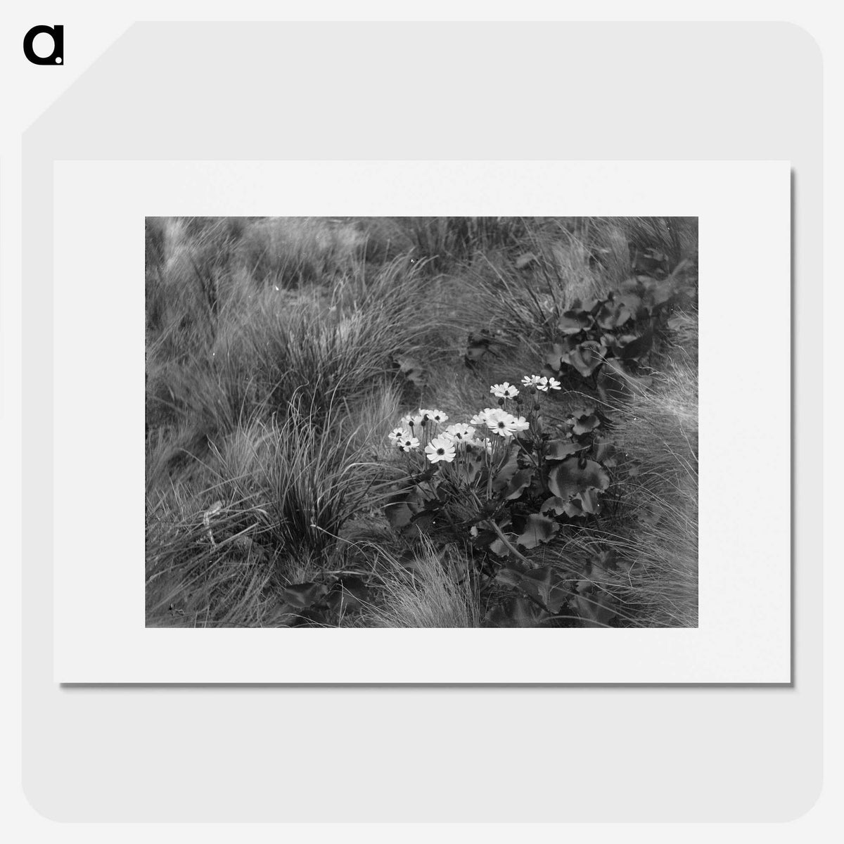 1-20_Frederick-Charles-Brockett_picture