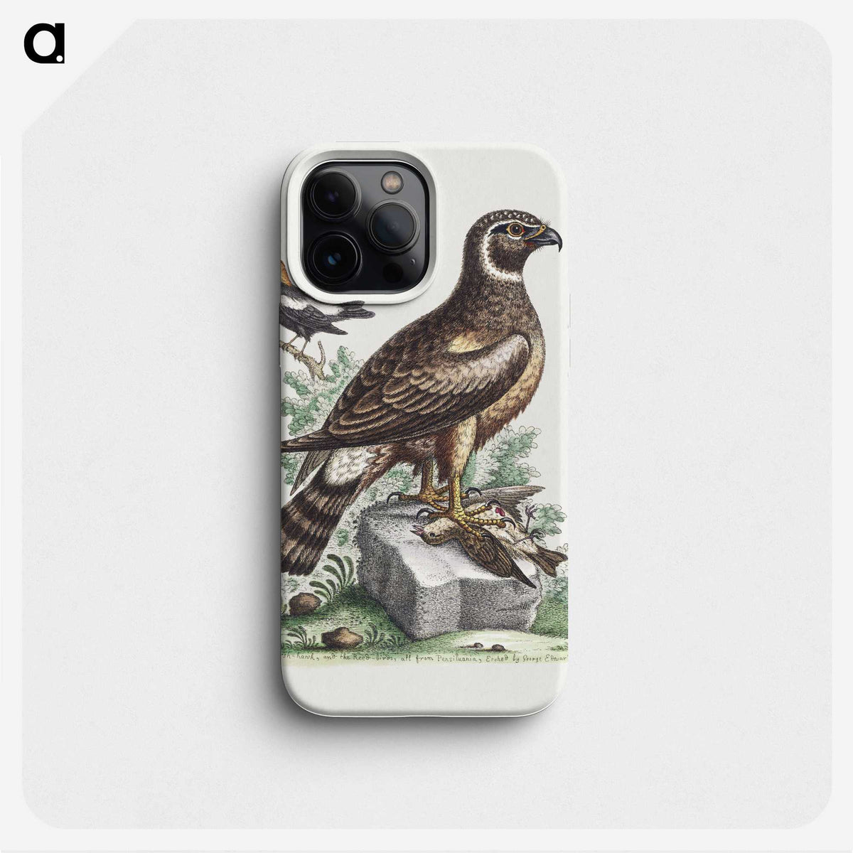 1-20_George-Edwards_phone