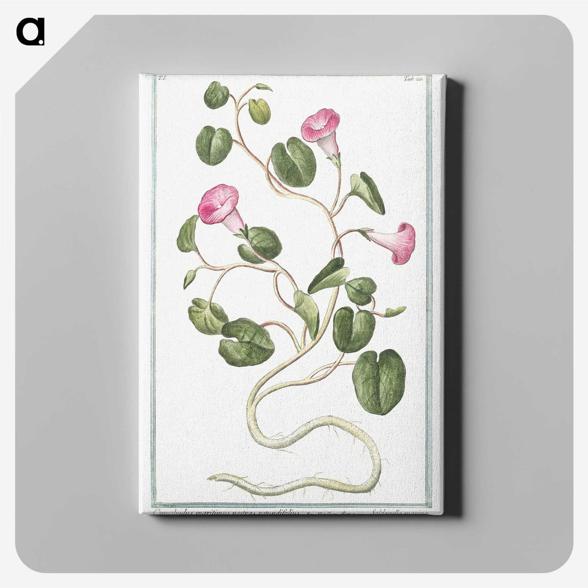 1-20_Hortus-Romanus-Botanical-Plates_canvas