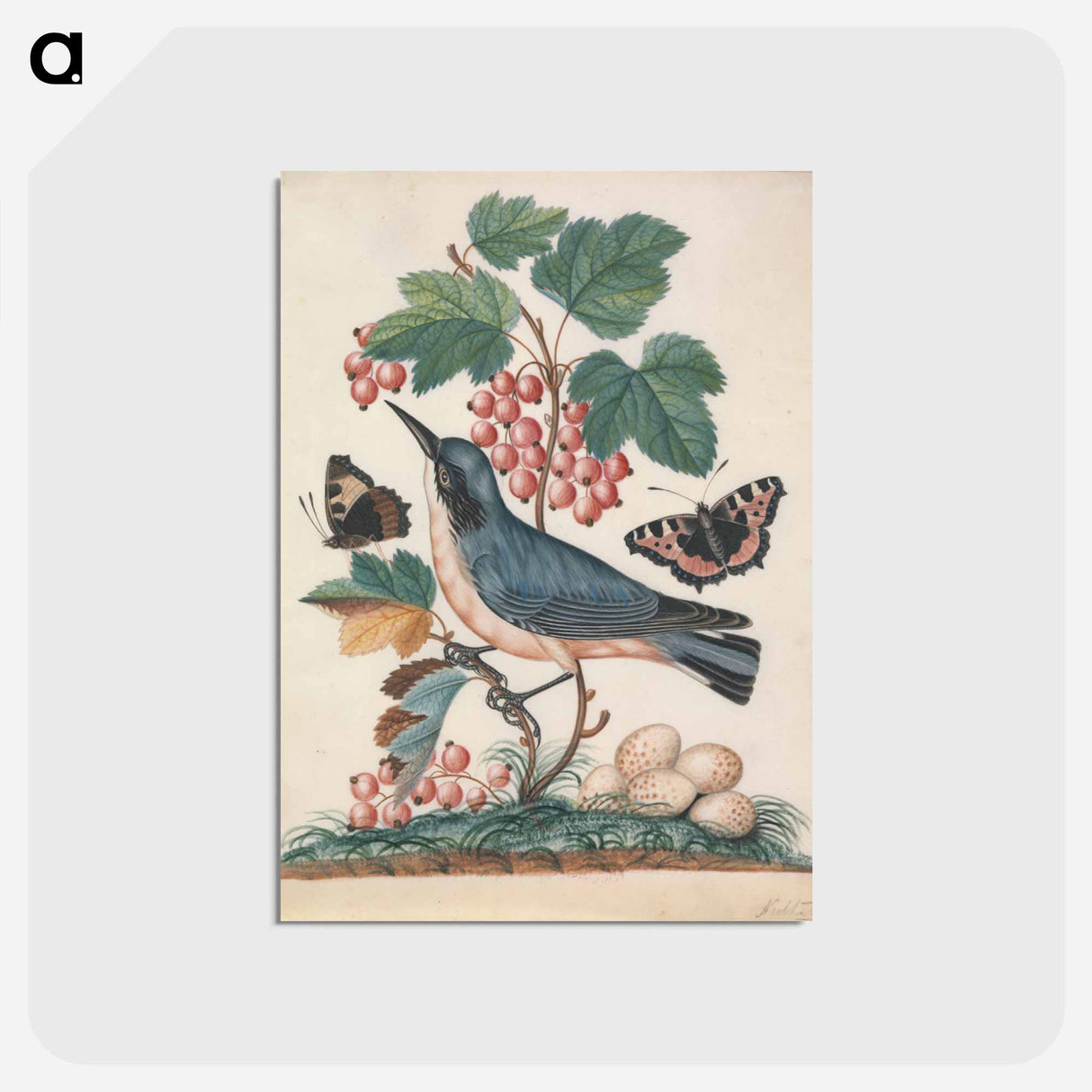 アートポストカード-Subalpine Warbler, Strawberry, and Red Admiral
- ジェームズ ボルトン Postcard.