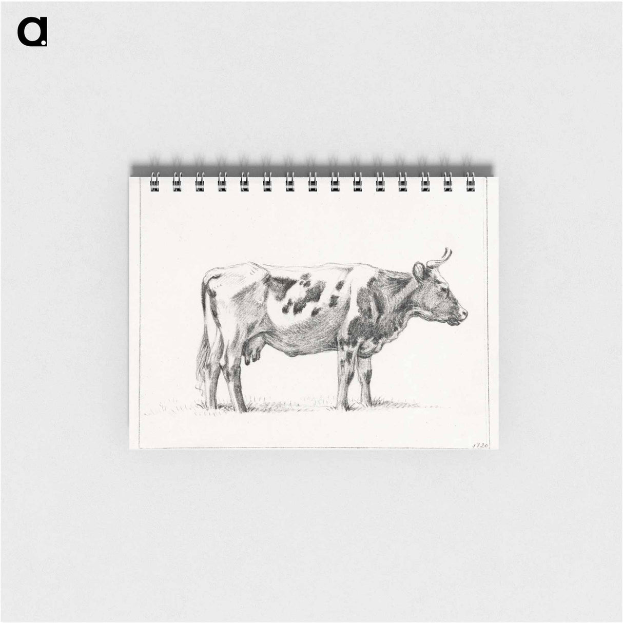 Standing cow - ジャン ベルナール Memo.