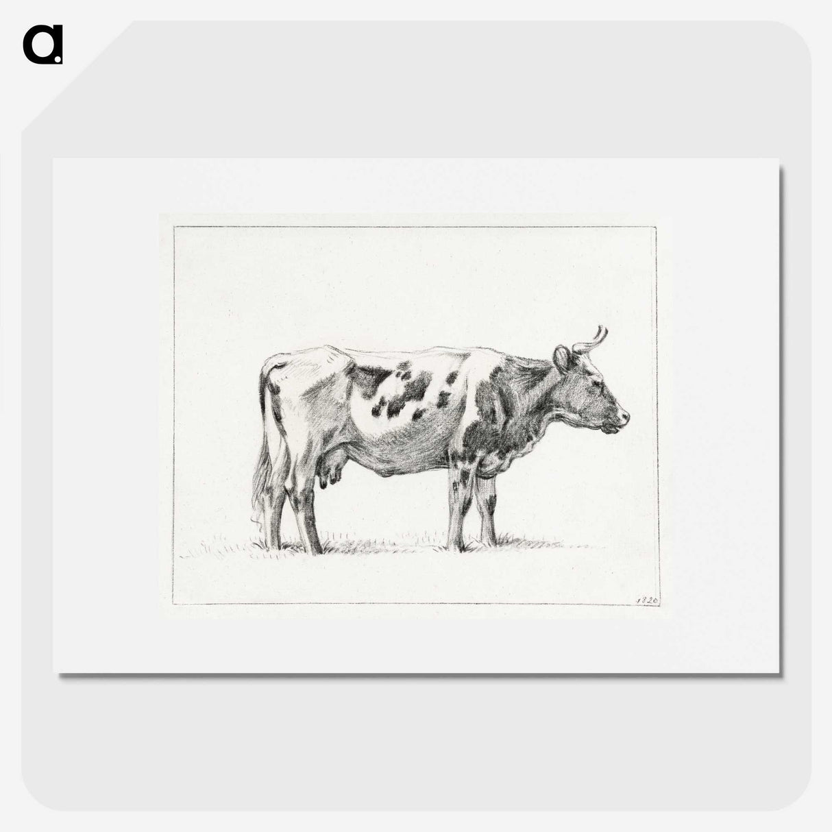 1-20_Jean-Bernard_picture