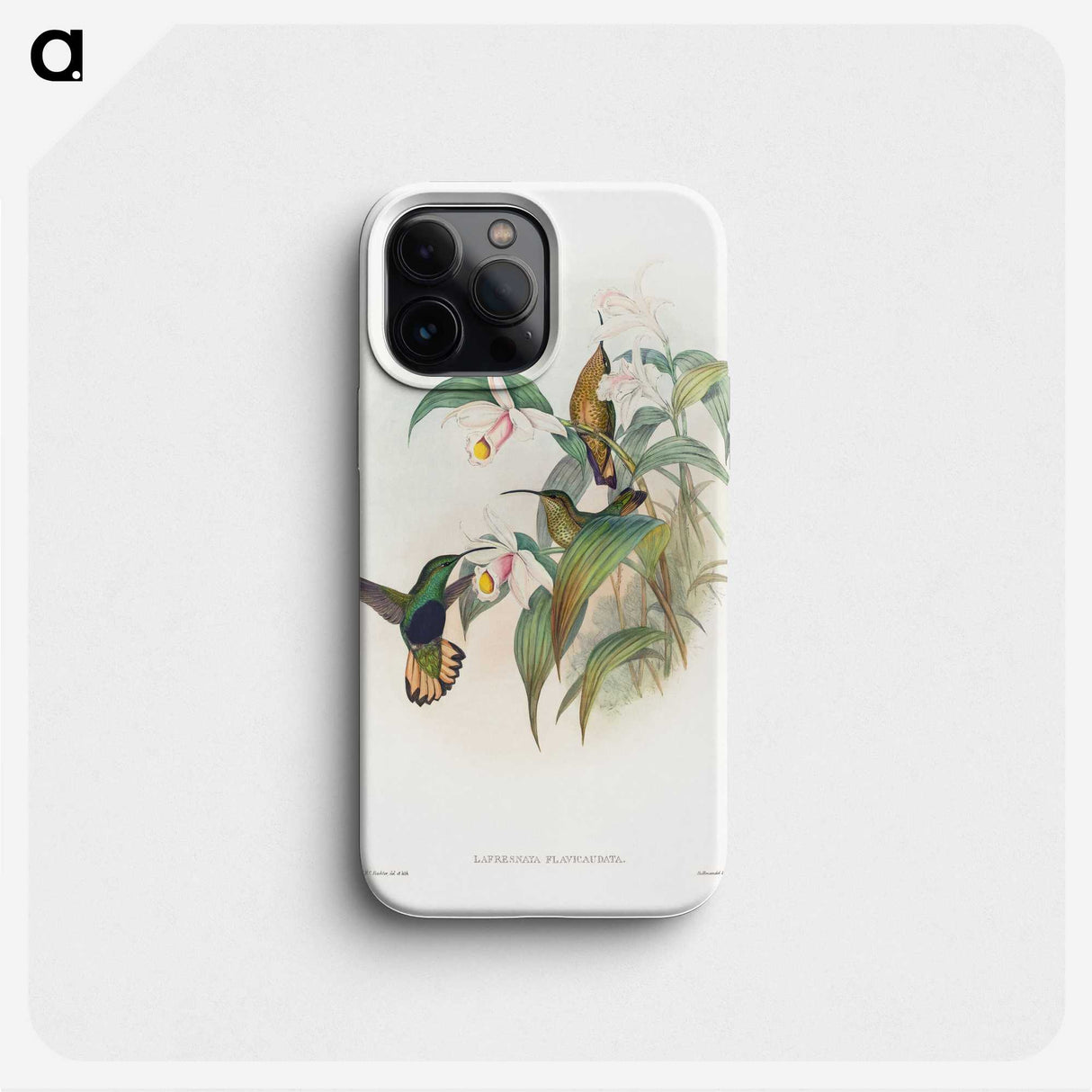 1-20_John-Gould_phone
