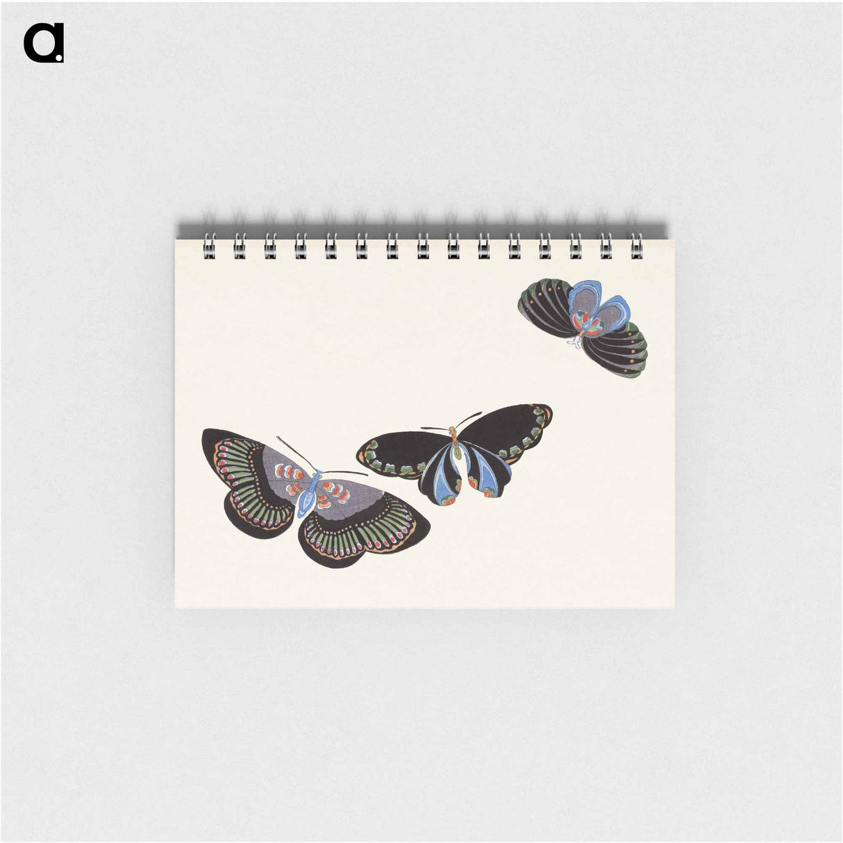 Japanese butterfly - 神坂 雪佳 Memo.