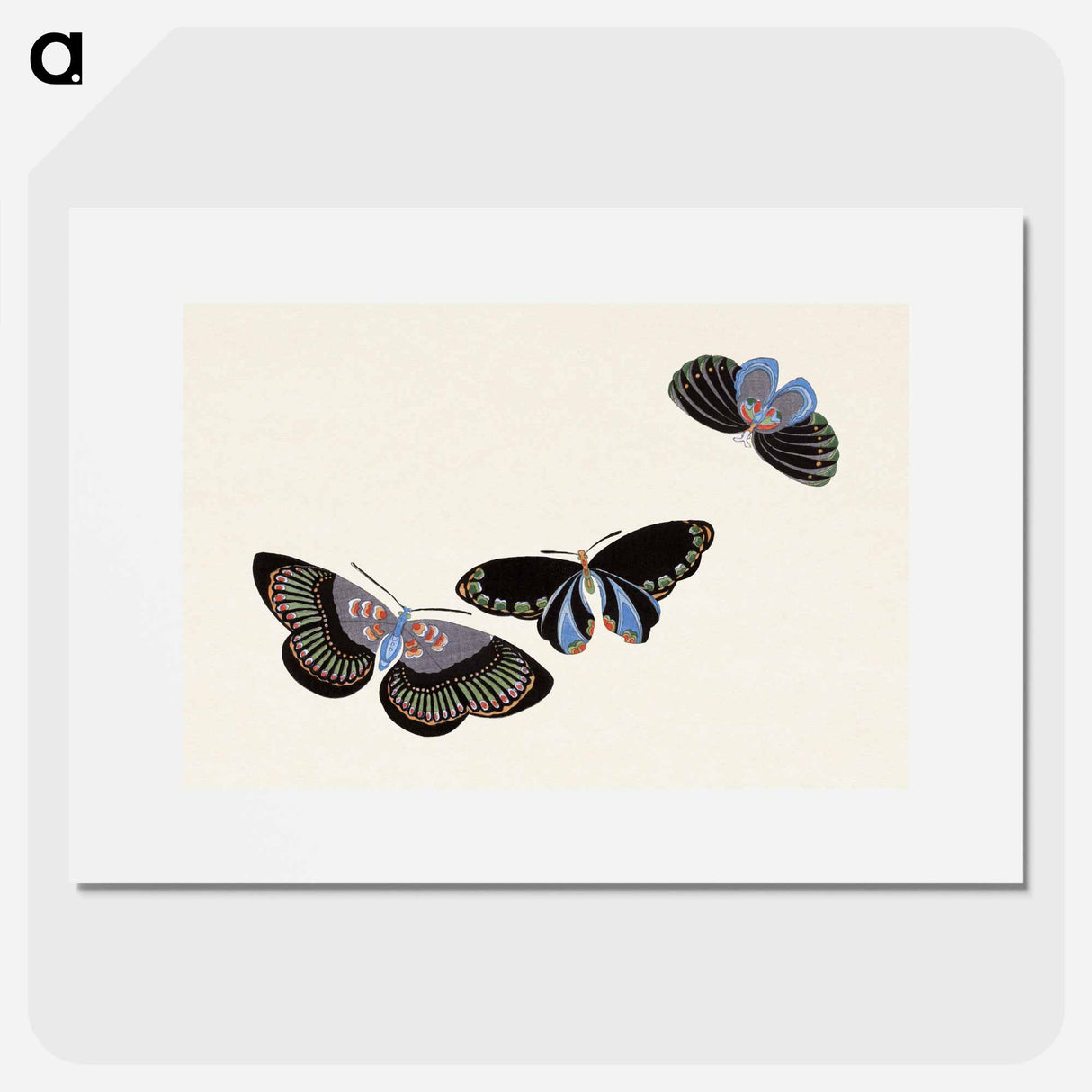 Japanese butterfly - 神坂 雪佳 Poster.