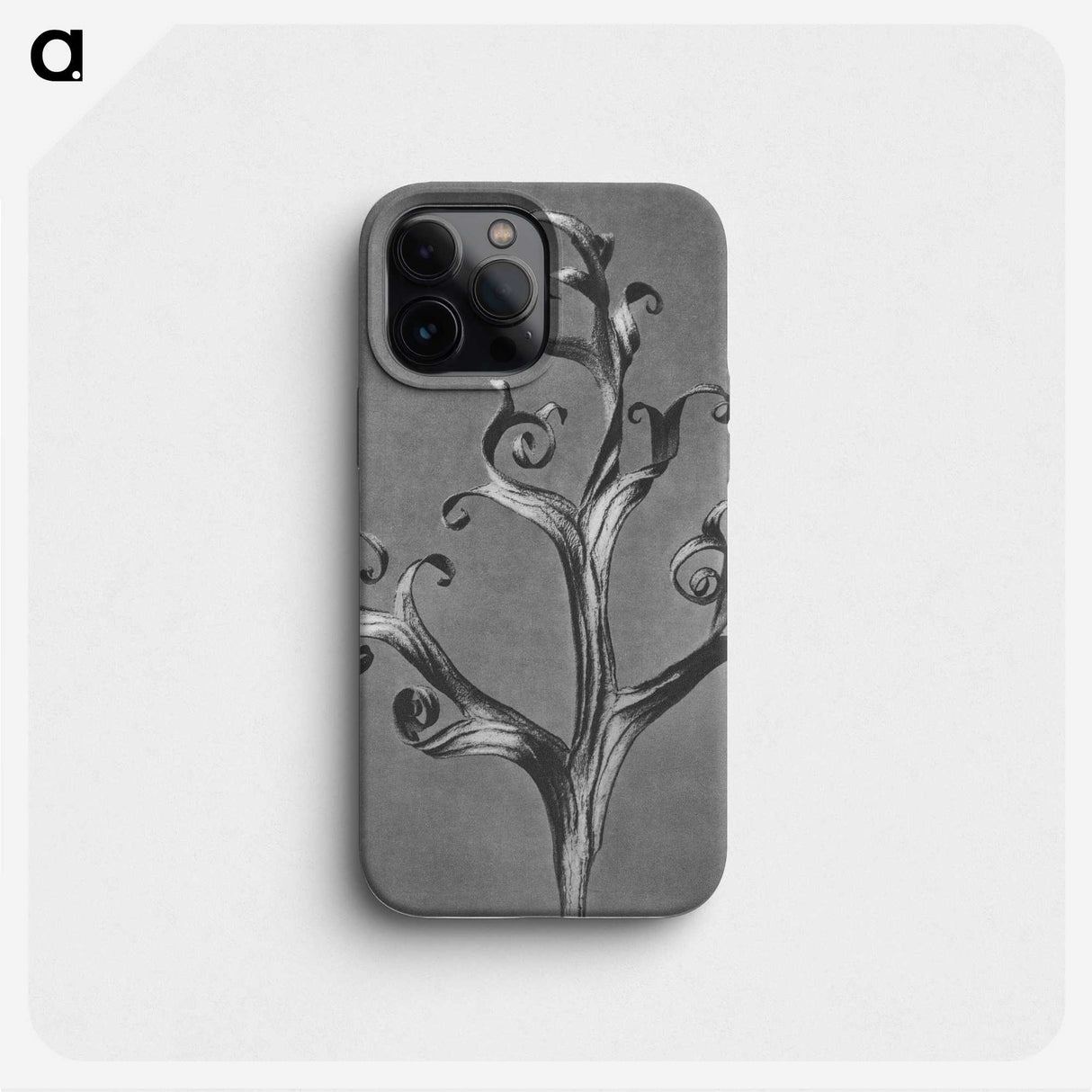 1-20_Karl-Blossfeldt_phone