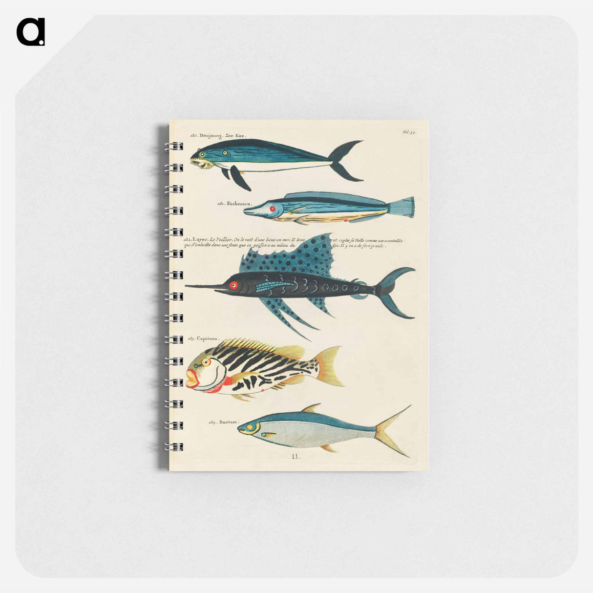 Moluccan Fishes
- ルイ ルナール Memo.