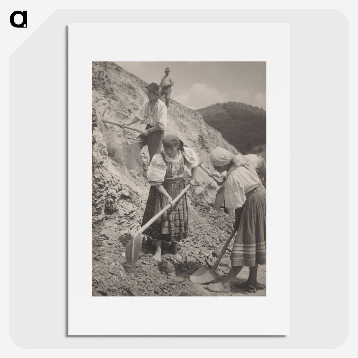 1-20_Milos-Dohnany_picture