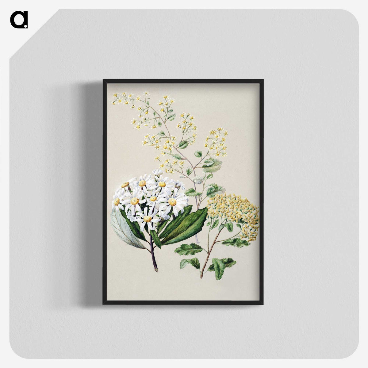 1-20_Native-Flowering-Plants-of-New-Zealand_blk-crop