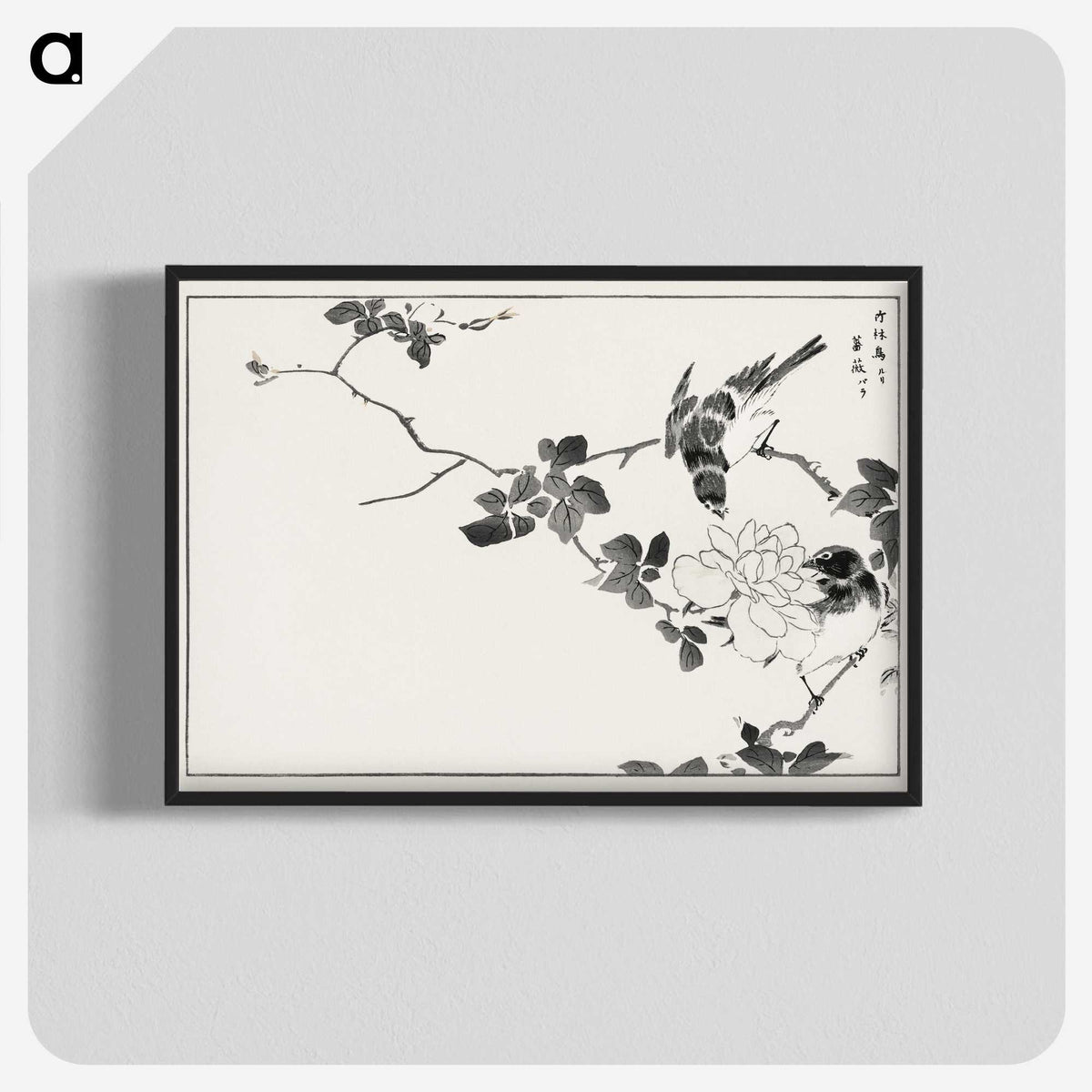 1-20_Pictorial-Monograph-of-Birds_blk-crop