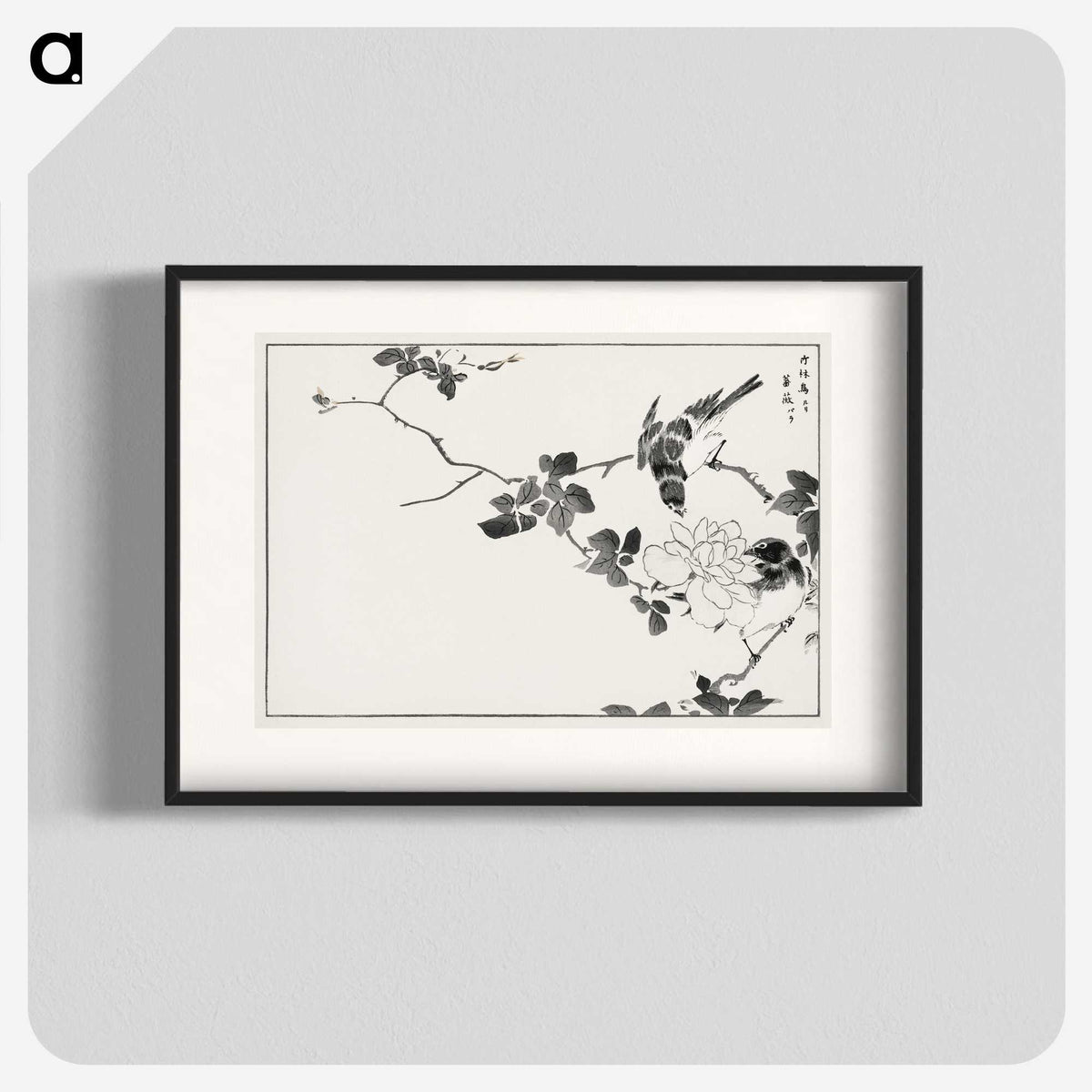 1-20_Pictorial-Monograph-of-Birds_blk