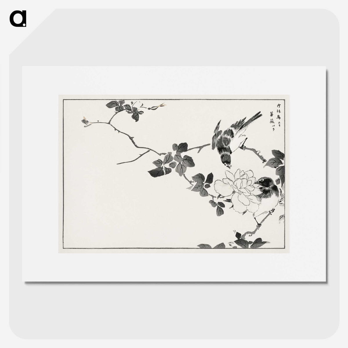 1-20_Pictorial-Monograph-of-Birds_picture