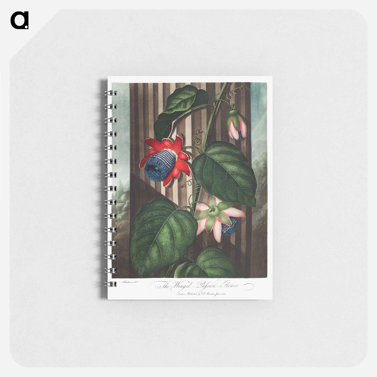 アートメモ帳-The Winged Passion-Flower
- ロバート ジョン ソーントン Memo.