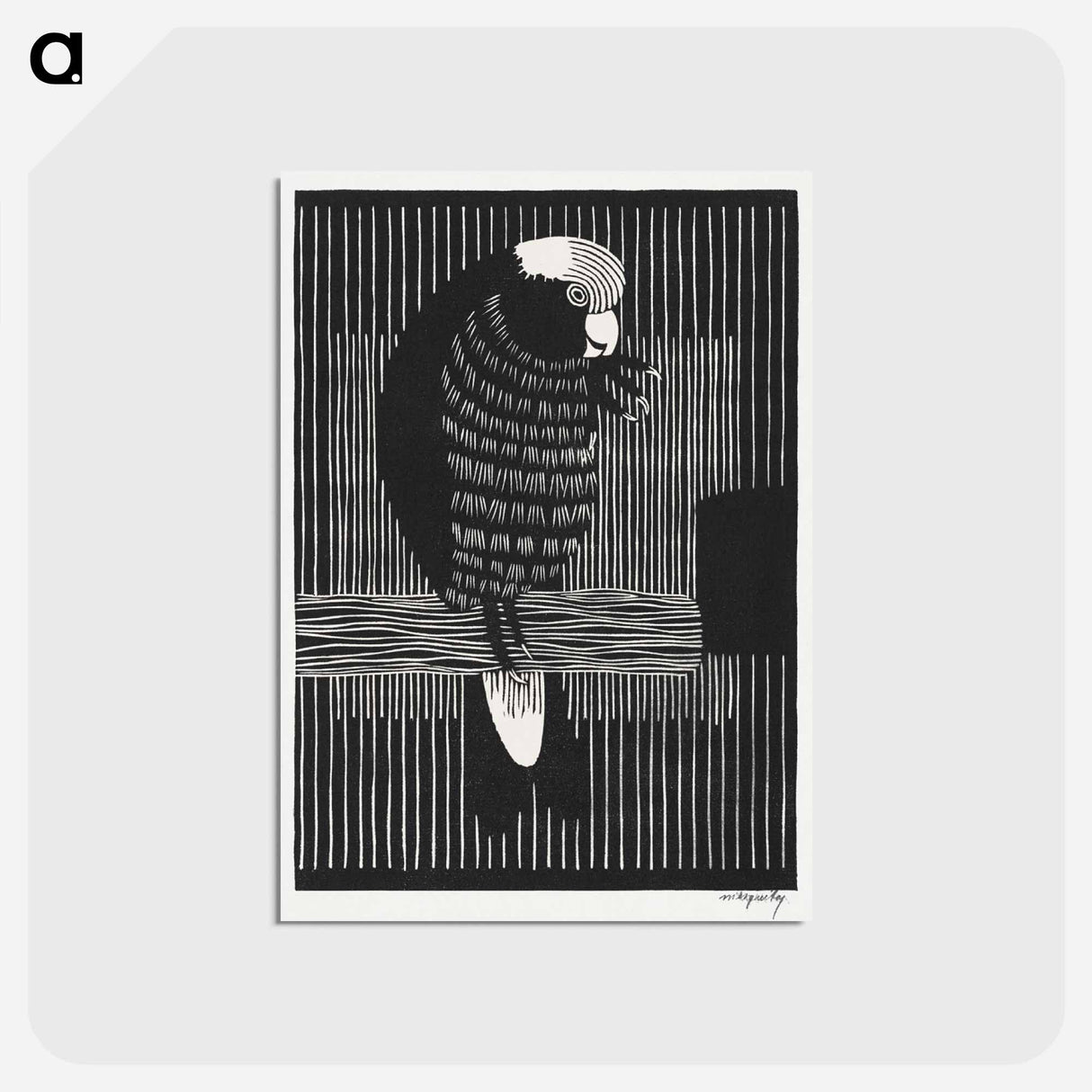 Galah Cockatoos
- サミュエル ジェスルン Postcard.