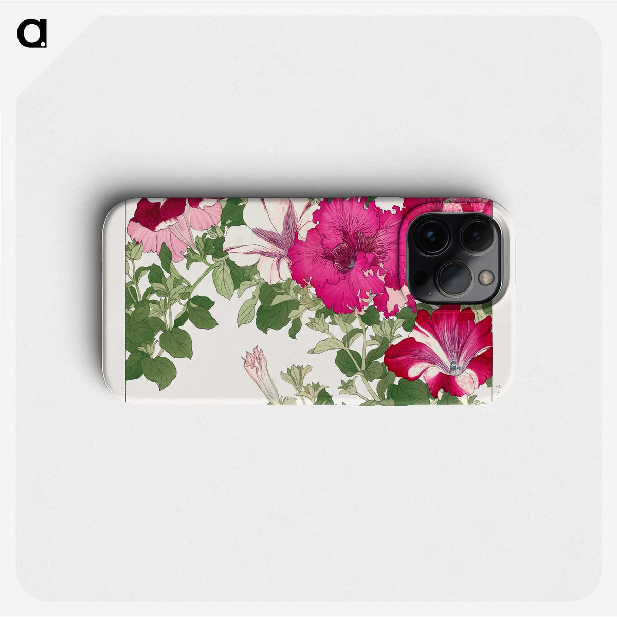 1-20_Seiyo-Soka-Zufu_phone