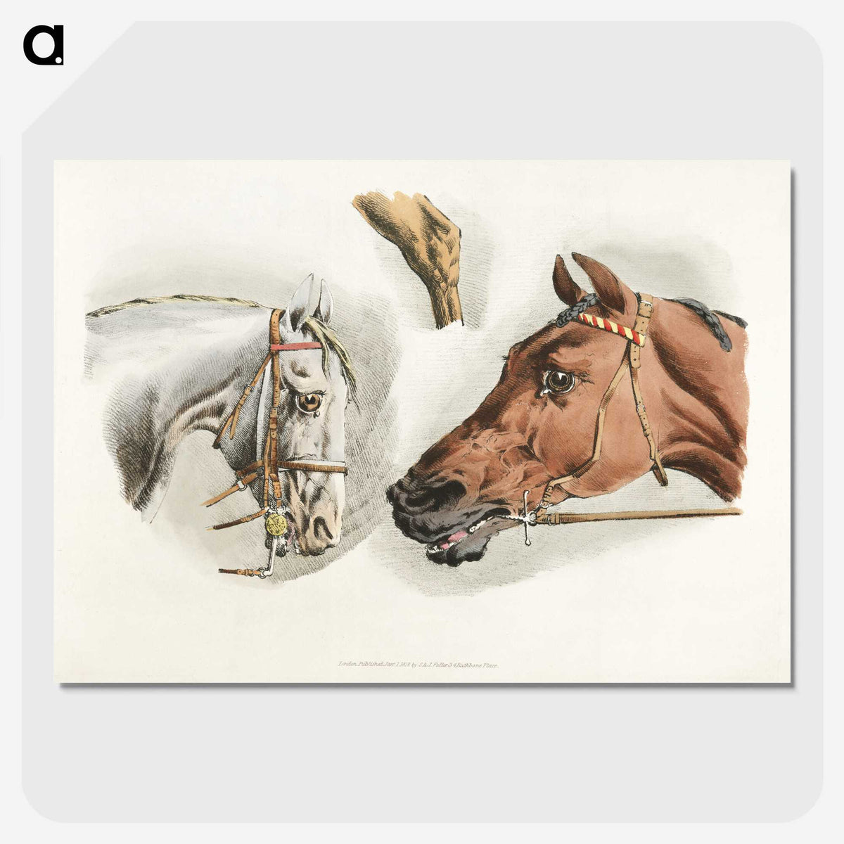 1-20_Sporting-Sketches_picture-crop